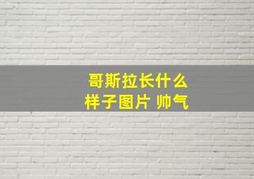 哥斯拉长什么样子图片 帅气